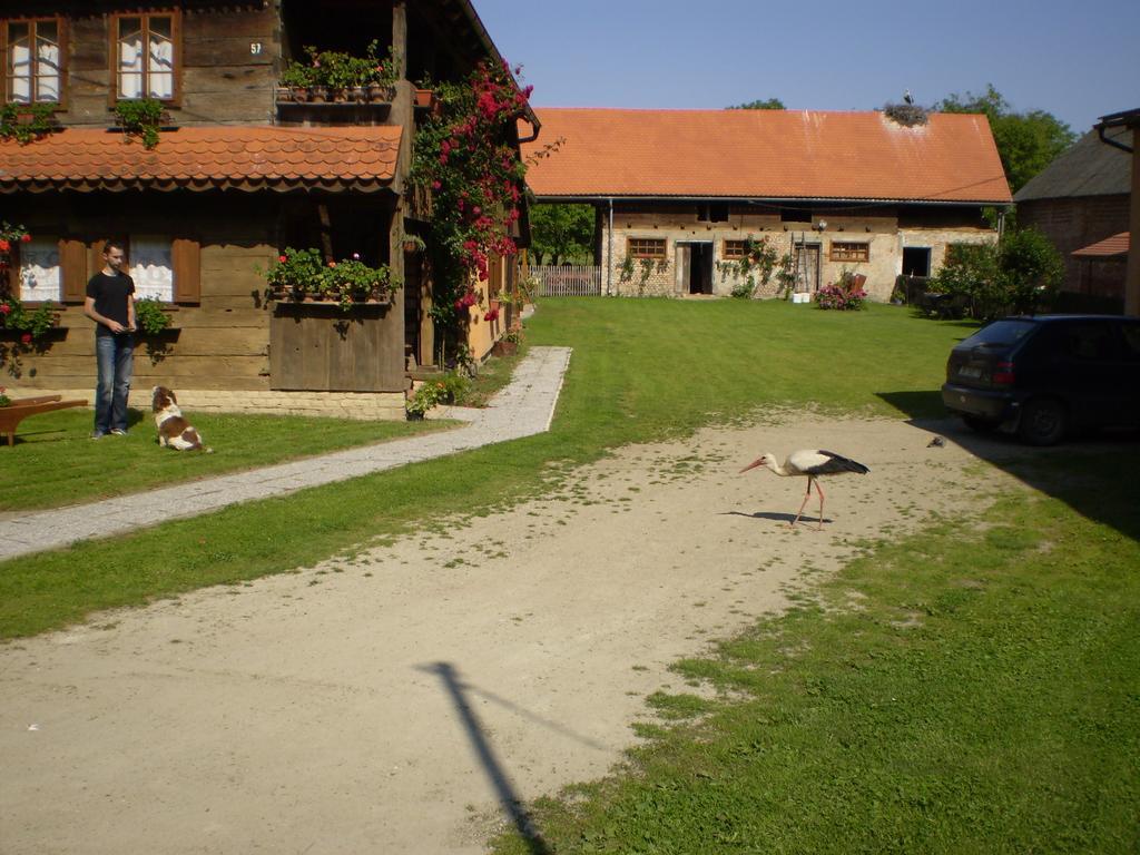 Apartments Iza Na Trem Čigoč المظهر الخارجي الصورة