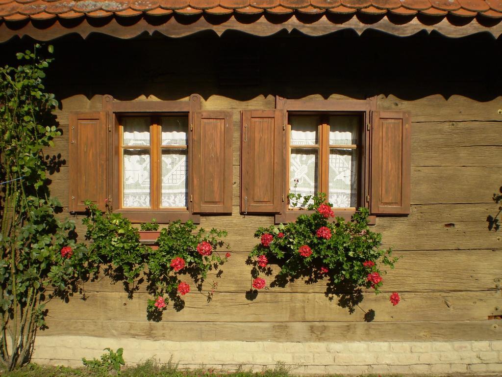 Apartments Iza Na Trem Čigoč المظهر الخارجي الصورة
